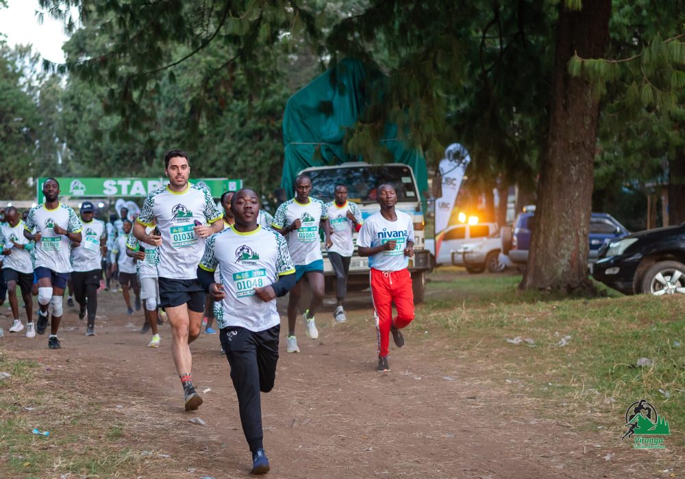 Virunga Gorilla-3899