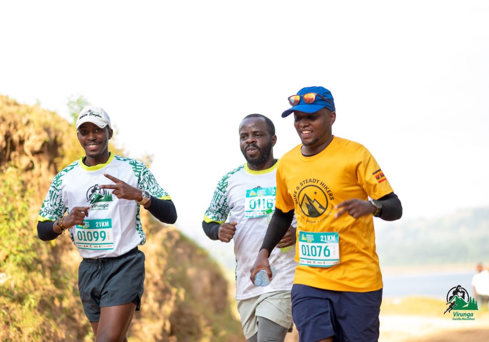 Virunga Gorilla-4016